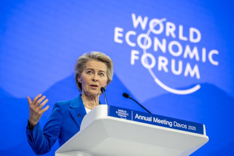 Lessons and models from 2025 WEF in Davos: A sustainability perspective